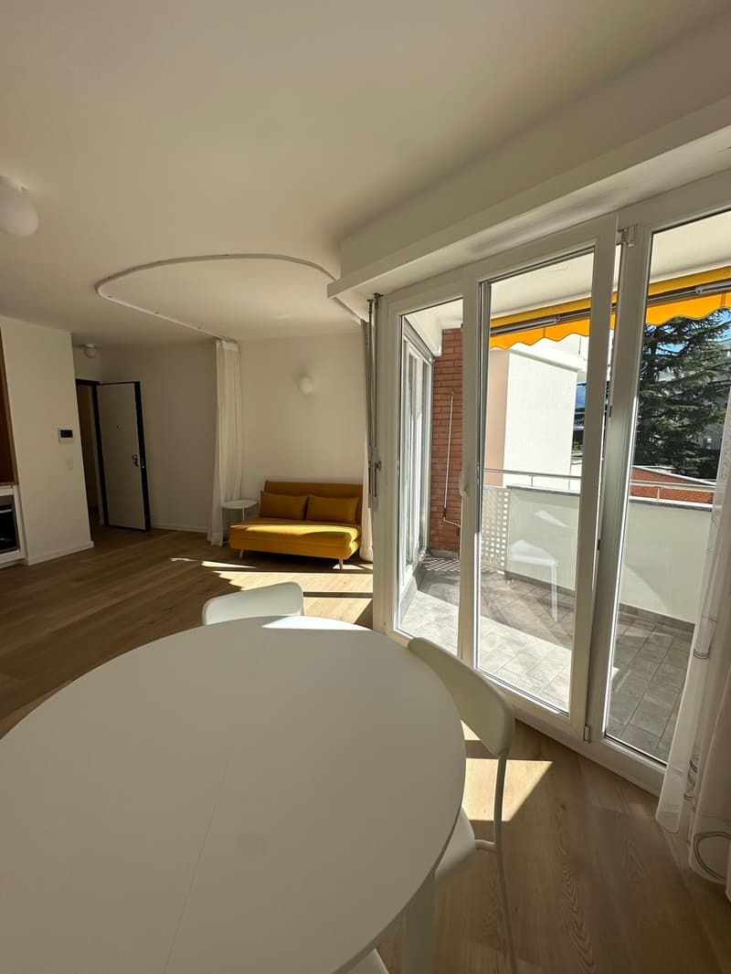Accogliente appartamento di 1.5 locali a Paradiso, Lugano (6)
