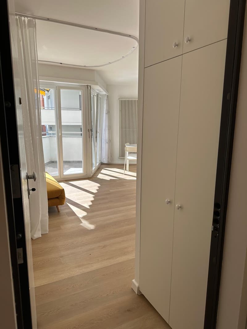 Accogliente appartamento di 1.5 locali a Paradiso, Lugano (4)