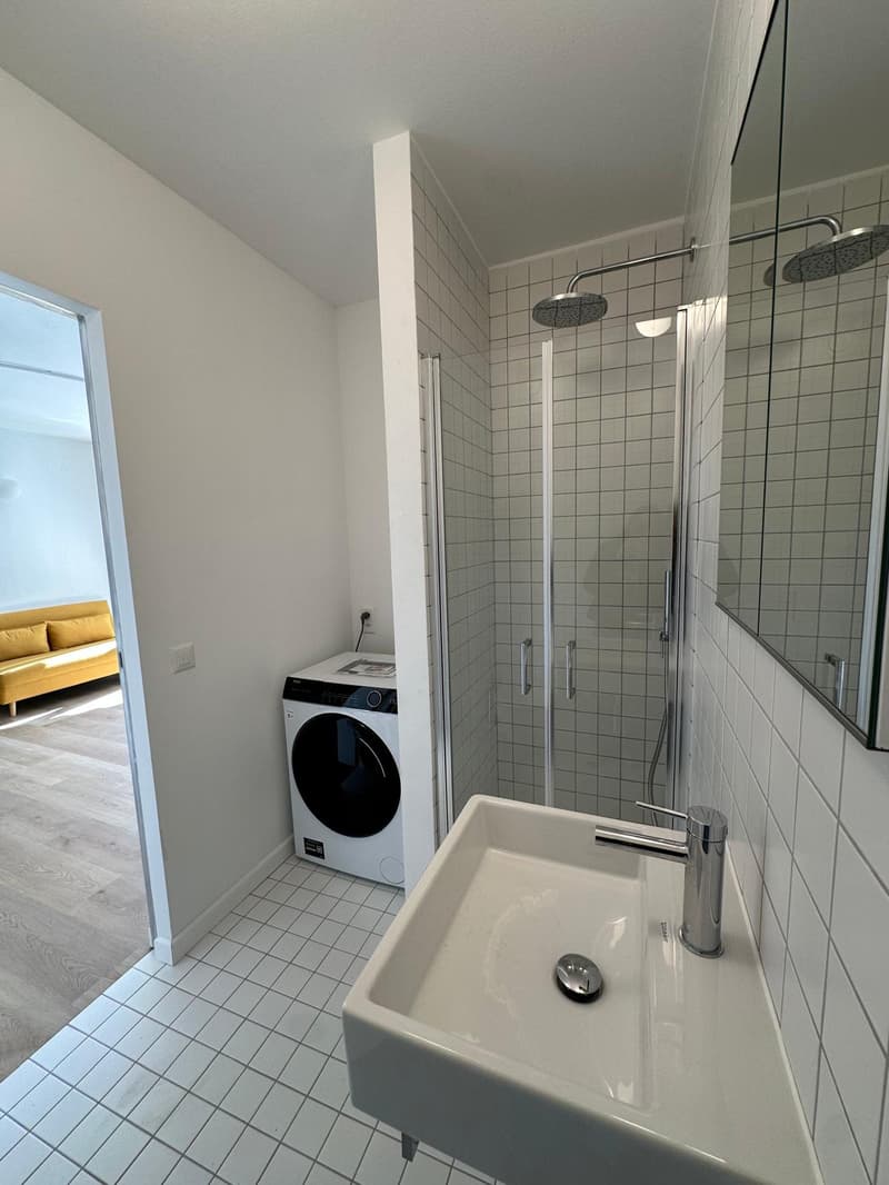 Accogliente appartamento di 1.5 locali a Paradiso, Lugano (14)