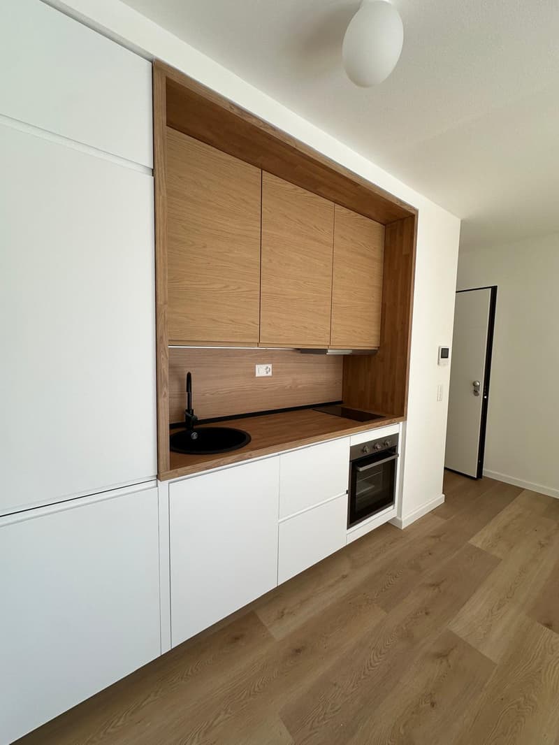 Accogliente appartamento di 1.5 locali a Paradiso, Lugano (2)