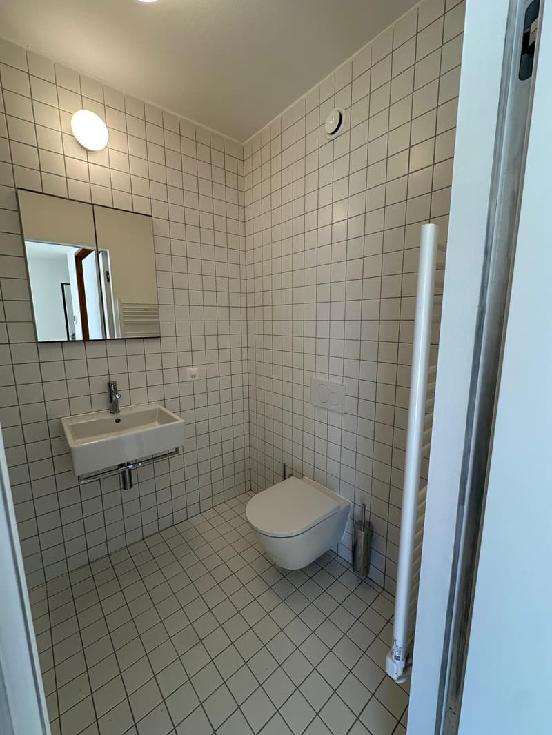 Accogliente appartamento di 1.5 locali a Paradiso, Lugano (13)