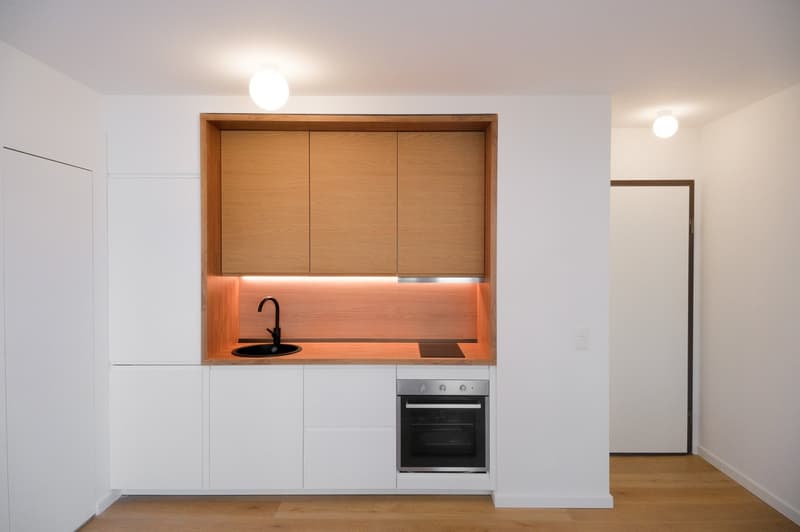 Accogliente appartamento di 1.5 locali a Paradiso, Lugano (1)