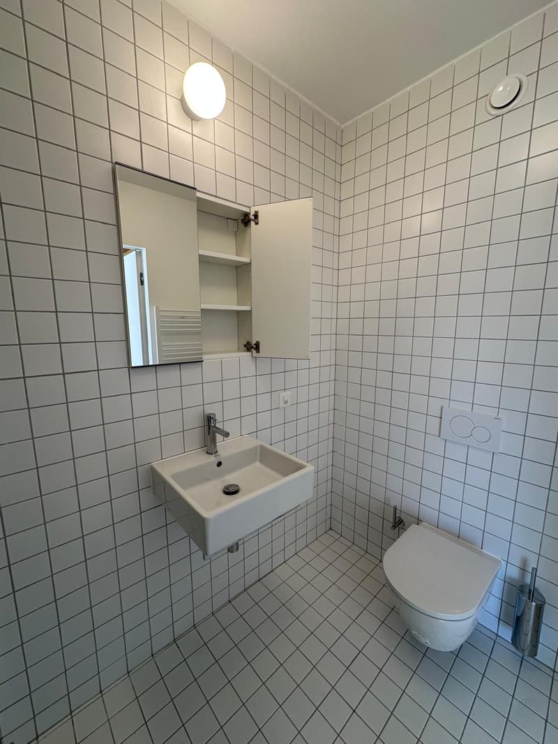Accogliente appartamento di 1.5 locali a Paradiso, Lugano (11)