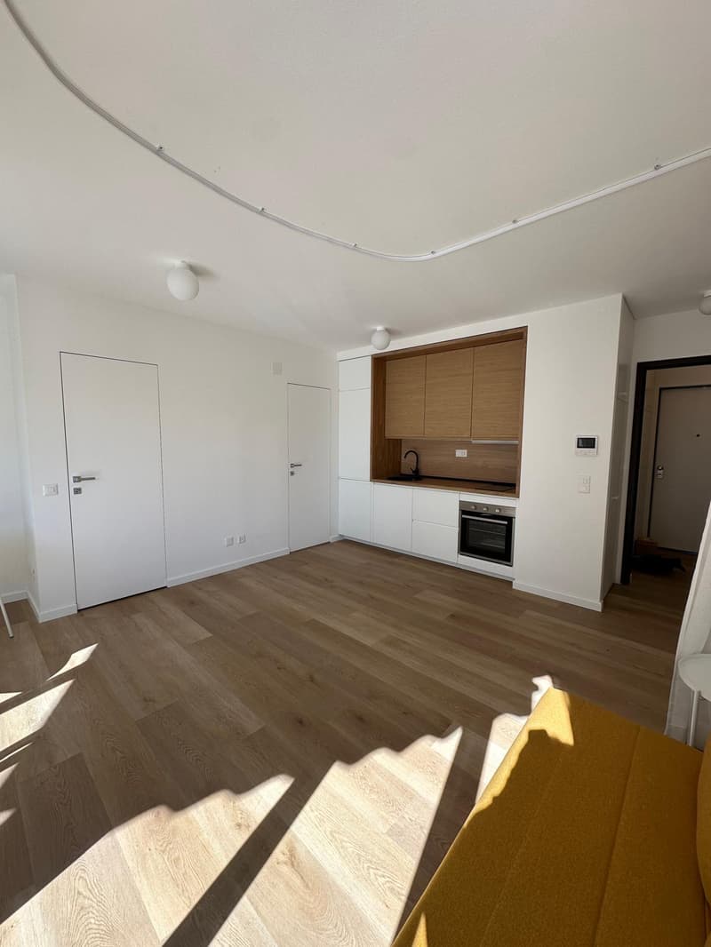Accogliente appartamento di 1.5 locali a Paradiso, Lugano (1)