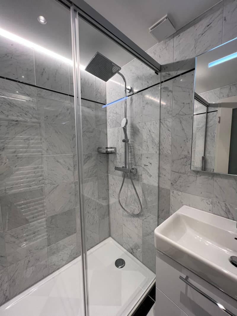 excellent investissement dans un immeuble neuf 5% de rendement 186'000 de loyers (2)