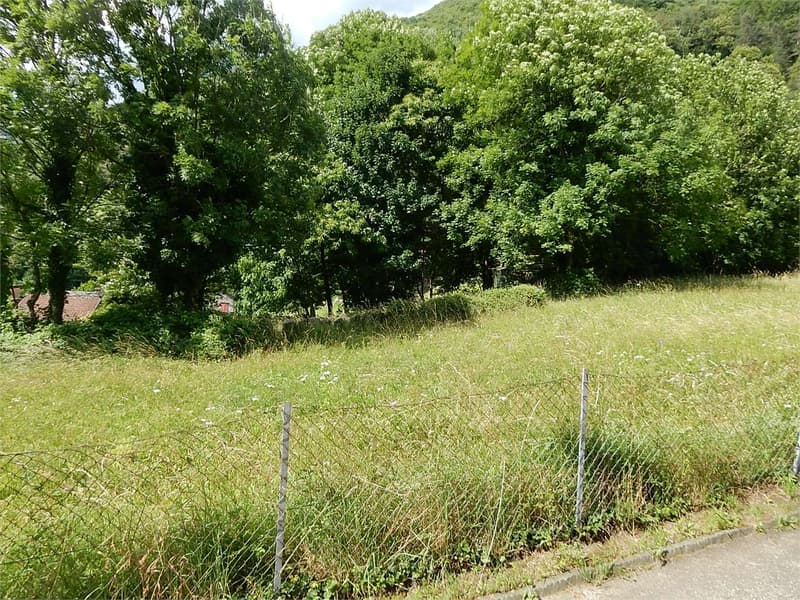 Terreno visto dalla strada