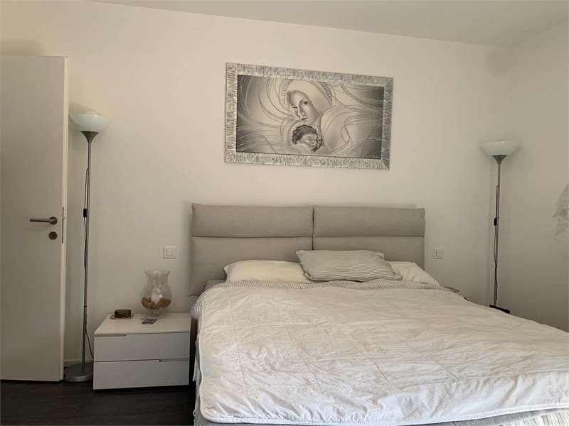 Elegante 3.5 Locali con Bella Vista e Massima Tranquillità (8)