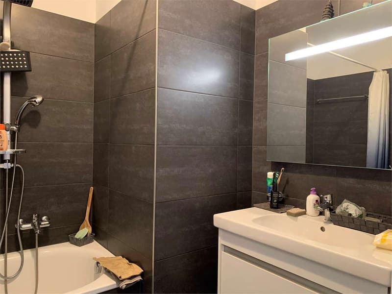 Elegante 3.5 Locali con Bella Vista e Massima Tranquillità (6)