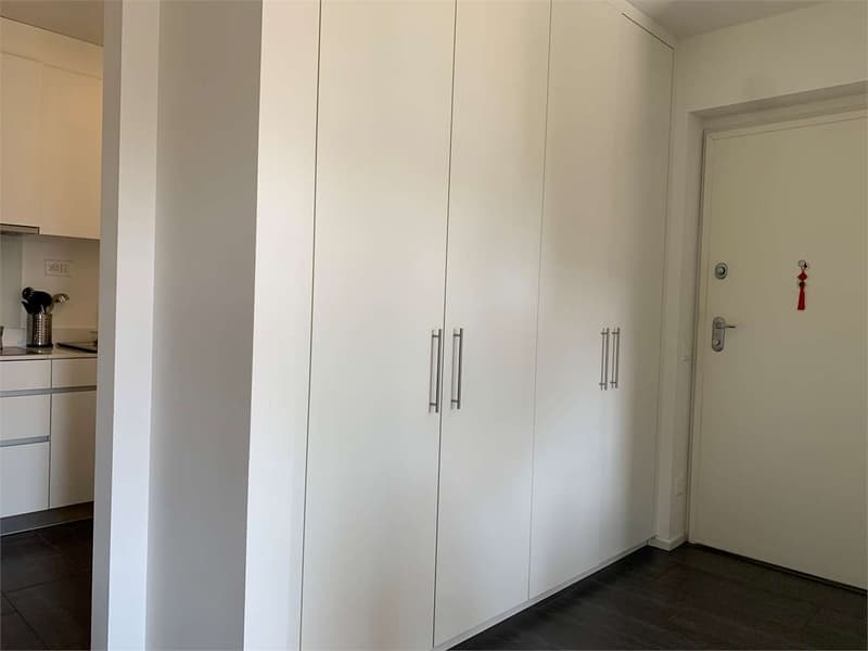 Elegante 3.5 Locali con Bella Vista e Massima Tranquillità (4)