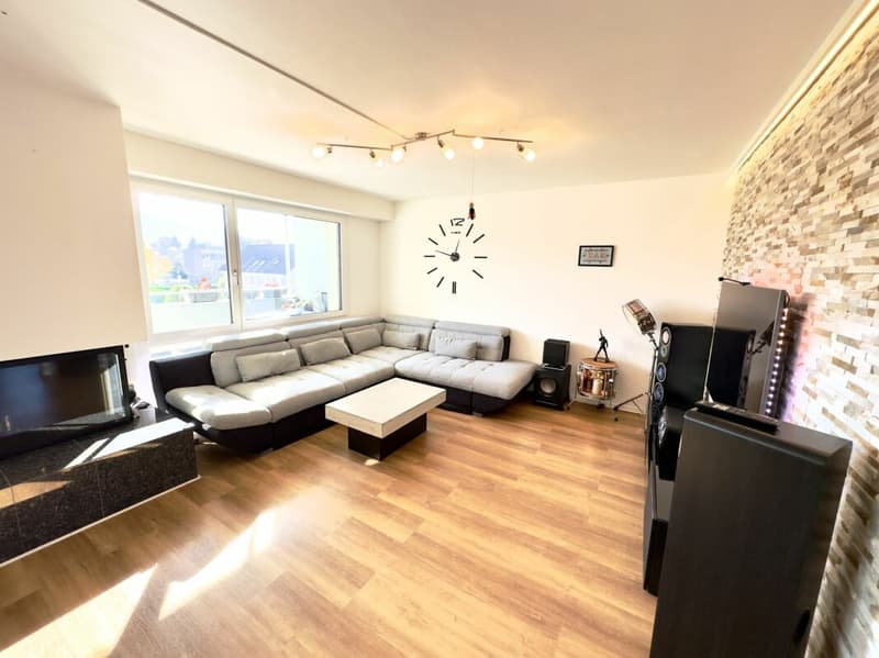 Tolle 4 1/2 Zimmerwohnung im sonnigen Möhlin (1)