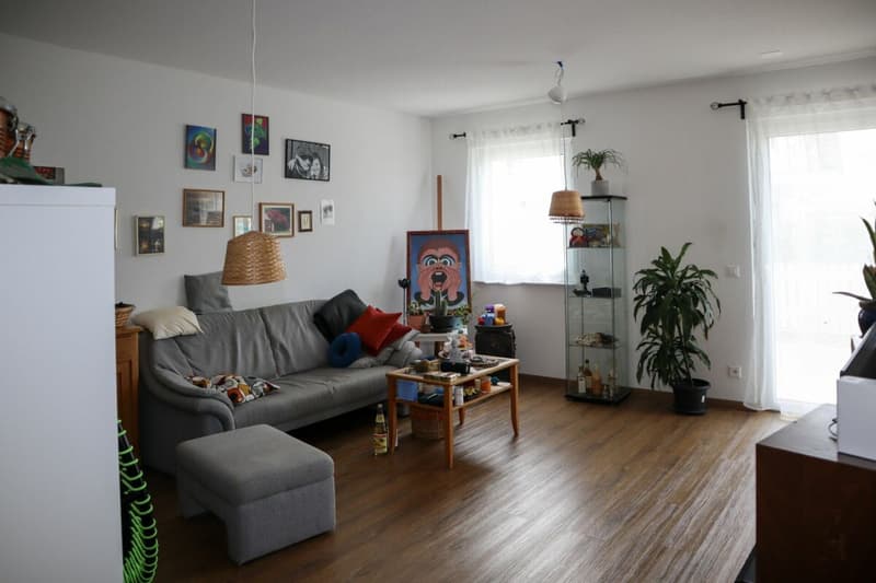 Ruhige und sonnige Lage: 6 1/2 Zimmer Einfamilienhaus mit zusätzlicher 2-Zimmer Einliegerwohnung (rollstuhlgängig) (11)