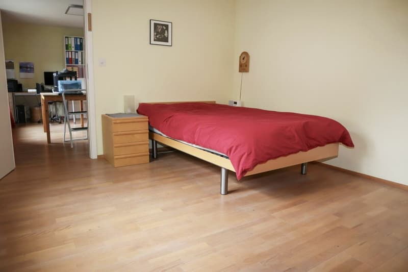 6-Zimmer Einfamilienhaus an sehr ruhiger und sonniger Lage (17)