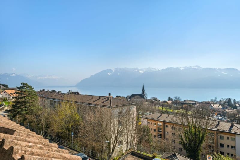 Appartement de 3,5 pièces avec une magnifique vue sur le lac et les montagnes ! (10)