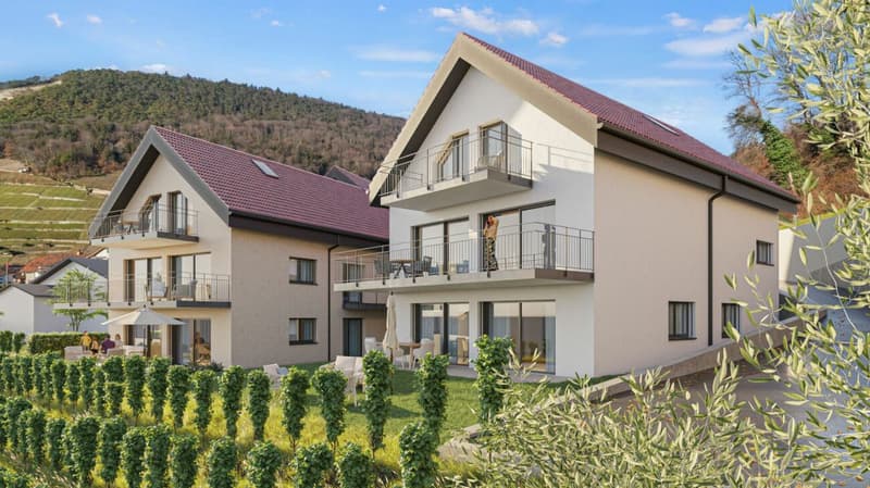 Plus que 4 appartements ! Nouveau logements au coeur d'Ollon (14)