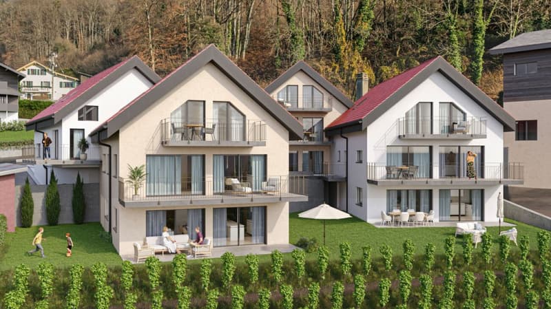 Plus que 4 appartements ! Nouveau logements au coeur d'Ollon (13)