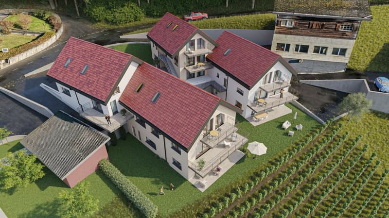 Plus que 4 appartements ! Nouveau logements au coeur d'Ollon (12)