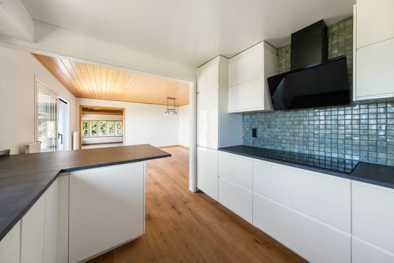 Villa individuelle de 8,5 pièces dans un environnement préservé (5)