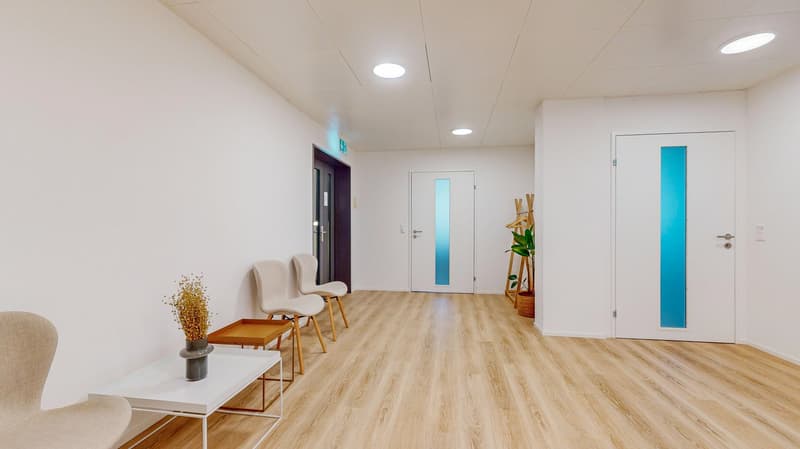 Empty hallway with a hardwood floor, three chairs and a coffee table, a plant in a pot, two doors