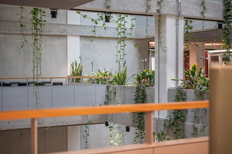 Concrete floor with plants, wooden handrail, hanging plants, street lights, other floors with plants