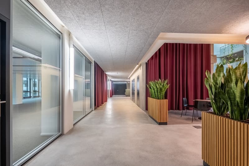 Office hallway with glass walls, modern decor, wooden planters, burgundy curtains