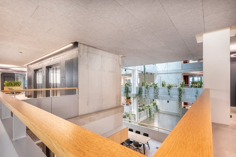 Open office space with balcony, grey flooring, suspended ceiling, wooden rail, hanging potted plants