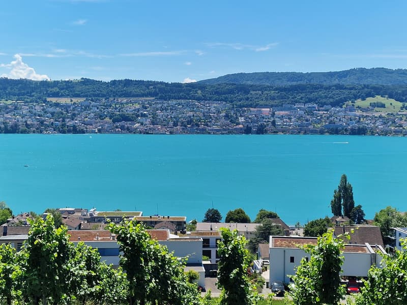 Jeden Tag mit dieser traumhaften Aussicht beginnen – und beenden (1)