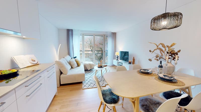 modern design, white walls, wooden floor, dining table, couch, balcony, TV, lamps, decorative items