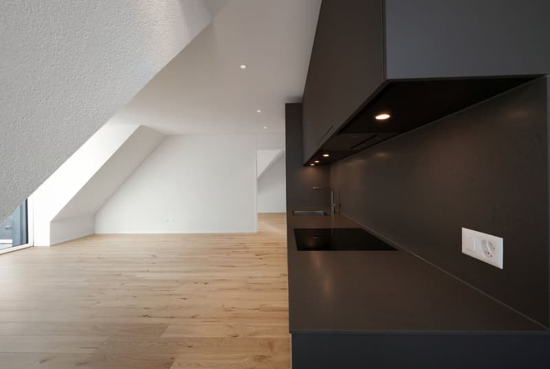 Wohnen mit eigener Dachterrasse – ein Traum über Zürich (7)