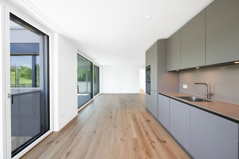 Wohnen mit eigener Dachterrasse – ein Traum über Zürich (9)