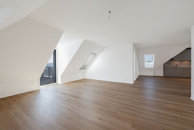 Wohnen mit eigener Dachterrasse – ein Traum über Zürich (23)
