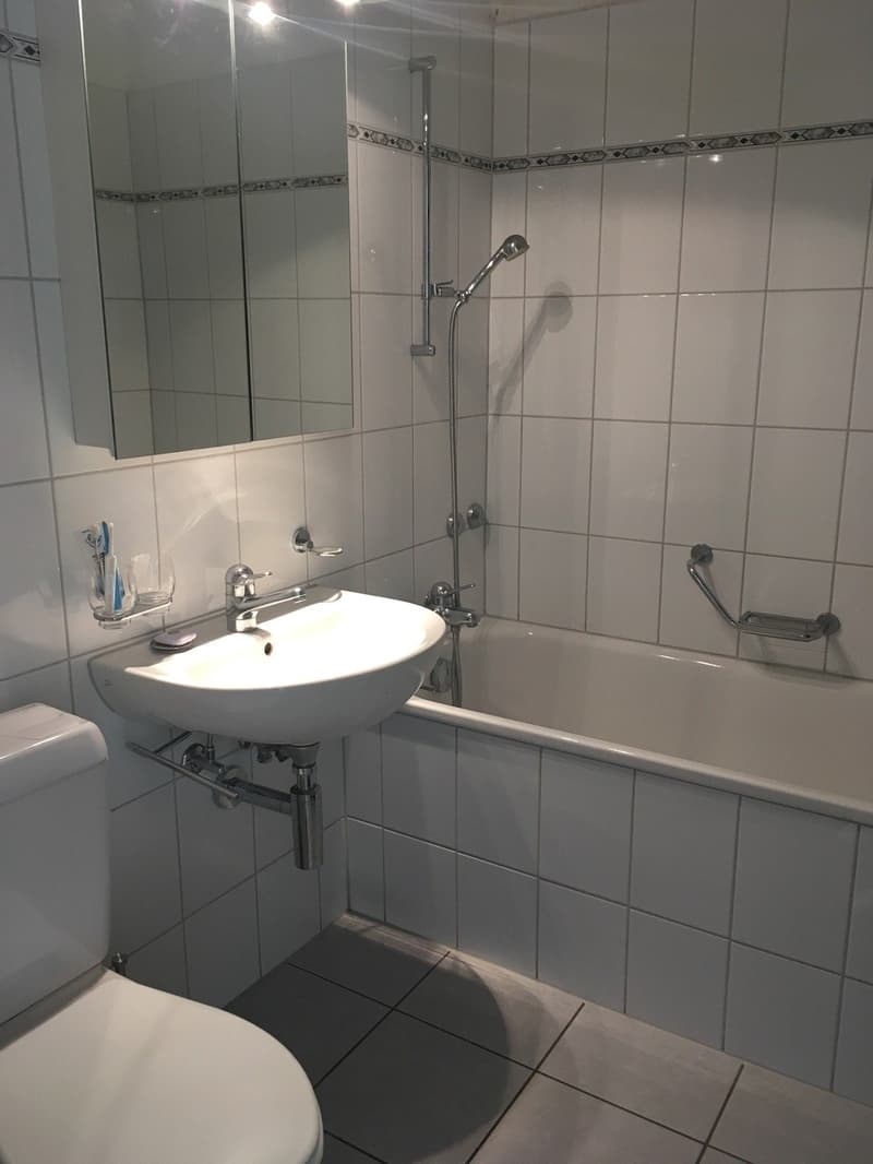Zwischenmiete bis 30.06.2027 – charmante 2.5-Zimmer-Wohnung mit Panorama über Zürich (5)