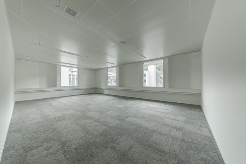 Attraktive Büroflächen im D4 Business Village Luzern (4)