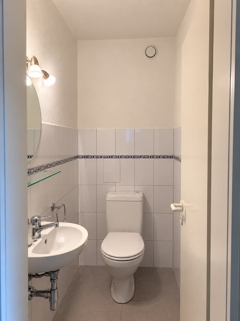 Zwischenmiete bis 30.06.2027 – 4.5-Zimmer-Wohnung mit Panorama über Zürich (7)