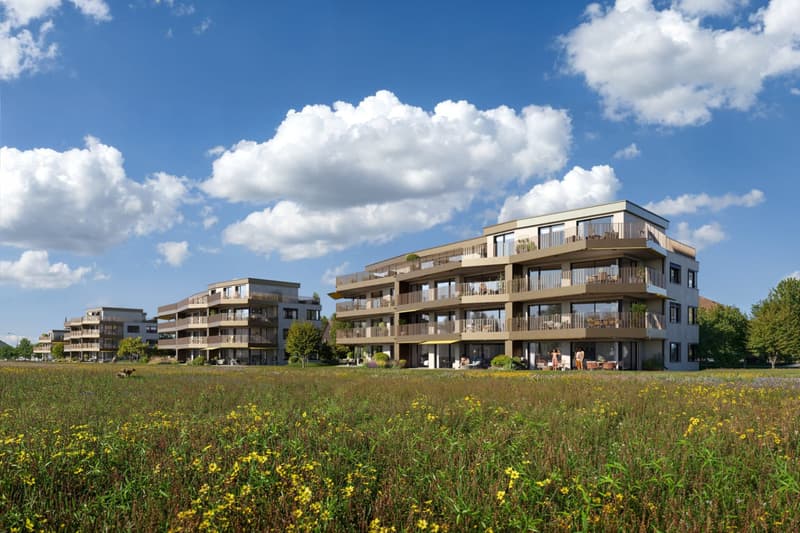 Moderne 3.5-Zimmer-Wohnung im Neubau in Eglisau (4)