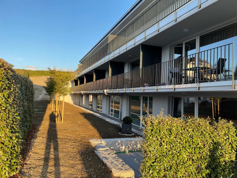 Modern building, large balconies, glass windows, potted plant, shrubbery, stone walkway