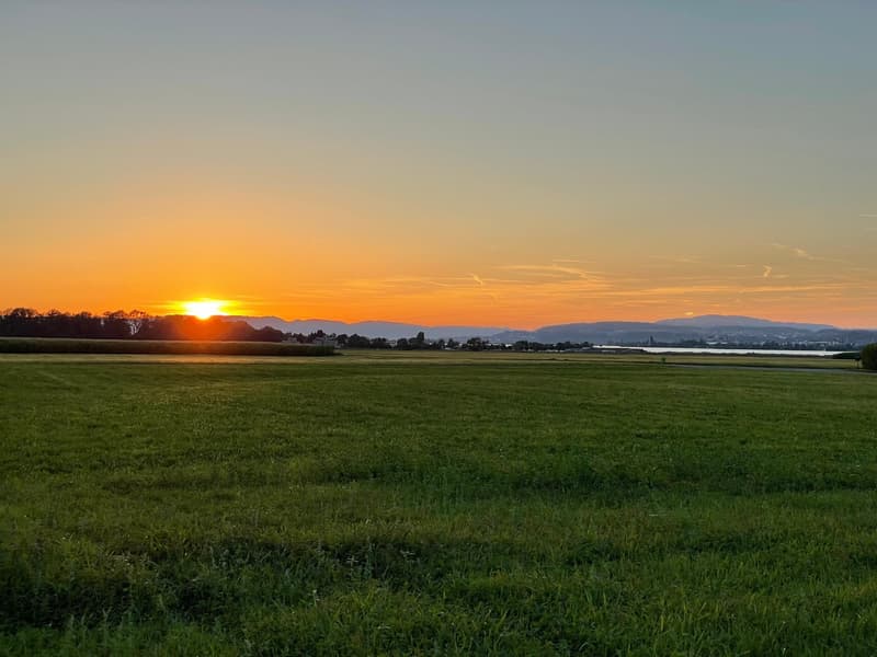 vast green field, setting sun, mountains on the horizon, clear sky