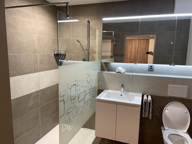 modern bathroom with walk-in shower, glass door, mirror, wooden wall, white sink, silver faucet, toilet, towel holder, towel