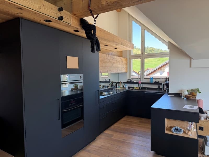 Attikawohnung am Sihlsee mit Sauna (9)