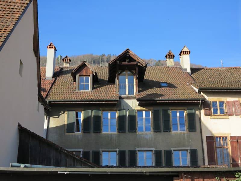 Charmante 3 ½ Zimmer Altbauwohnung mit Seeblick und privater grosser Terrasse in Ligerz (3)