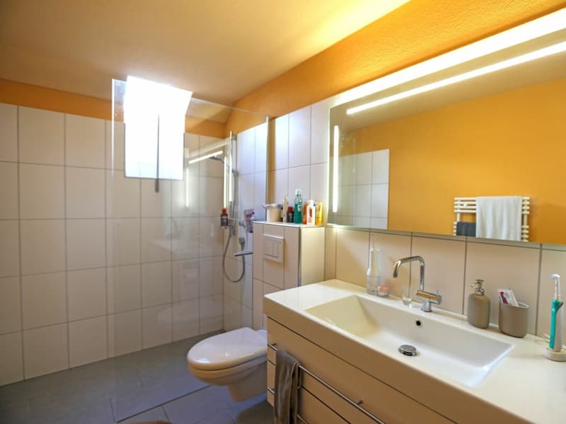 Dachwohnung mit zentraler Lage in Weinfelden (10)