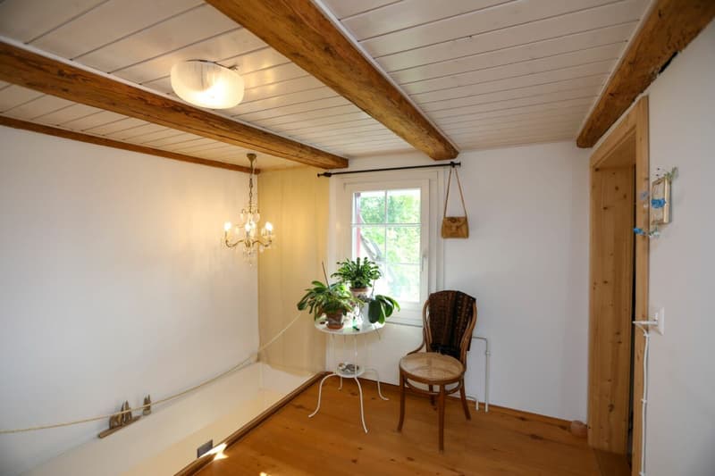 Zweifamilienhaus mit wunderschönem Blumengarten - Ein Liebhaberobjekt! (12)