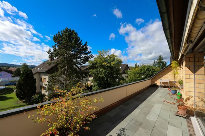Grosszügige Dachwohnung mit sonniger Terrasse (4)