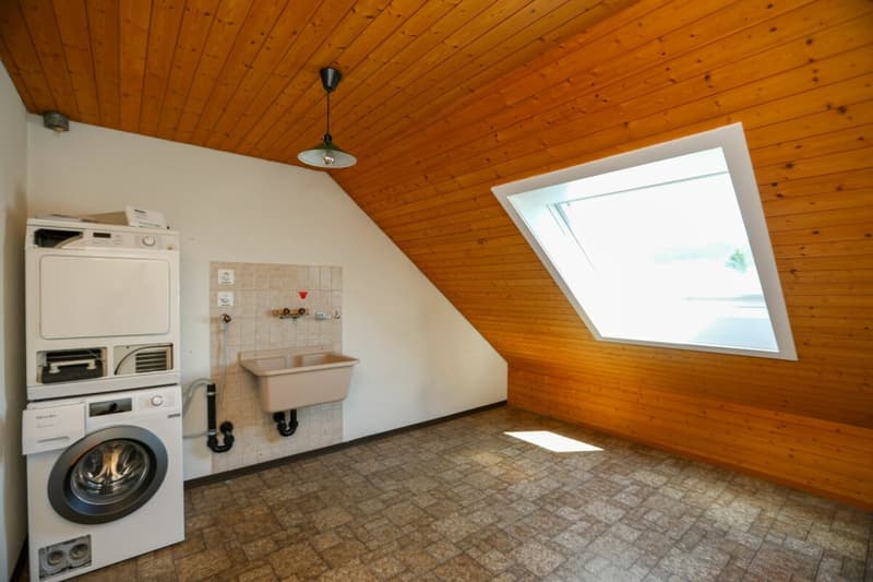 Grosszügige Dachwohnung mit sonniger Terrasse (13)