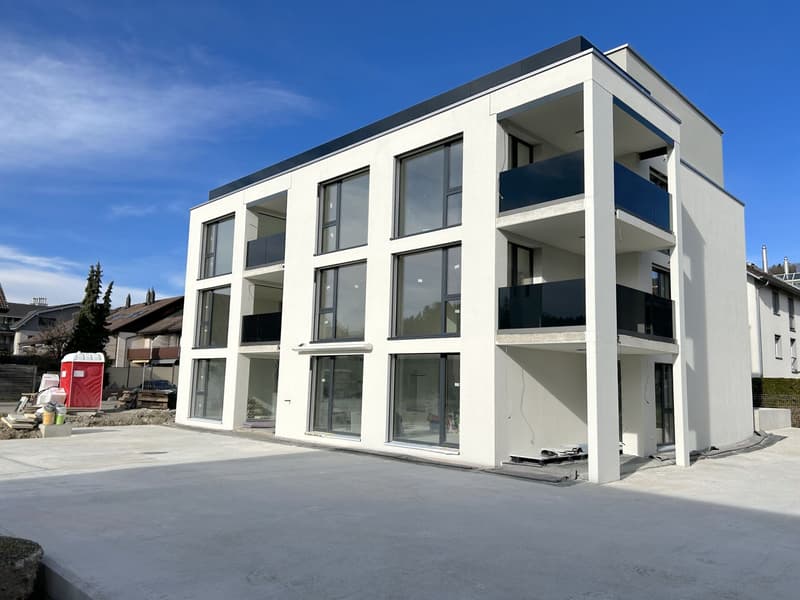 Erstbezug: Top moderne und hochwertige Attika-Wohnung mit grosser Terrasse und optimalem Grundriss für Homeoffice (13)