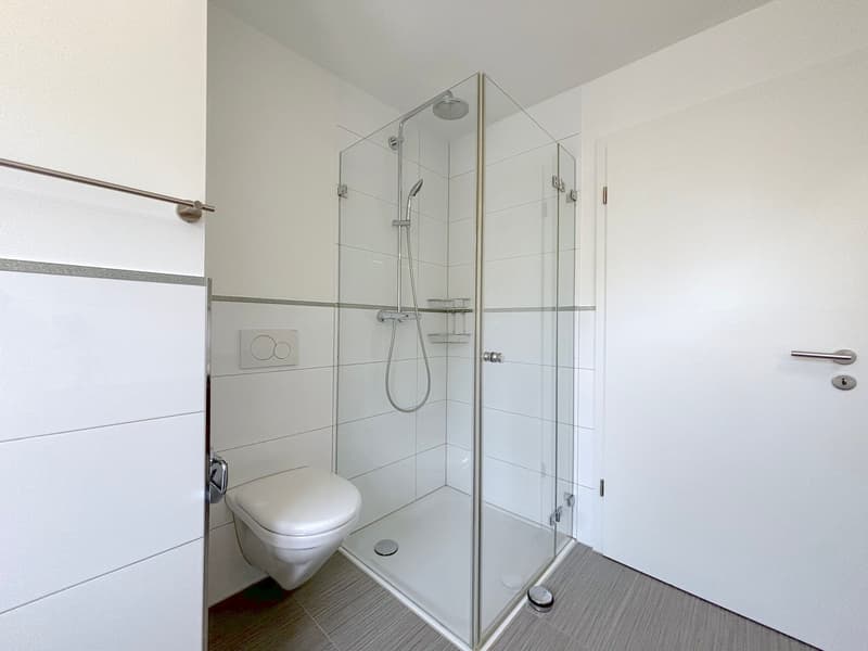 Modernes 5.5-Zimmer-Doppeleinfamilienhaus mit Garten und viel Licht in Neuenhof (11)
