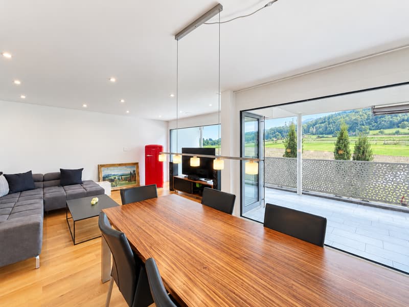TOP MODERNE 5.5-ZIMMER-WOHNUNG MIT GROSSER TERRASSE UND WEITSICHT (2)