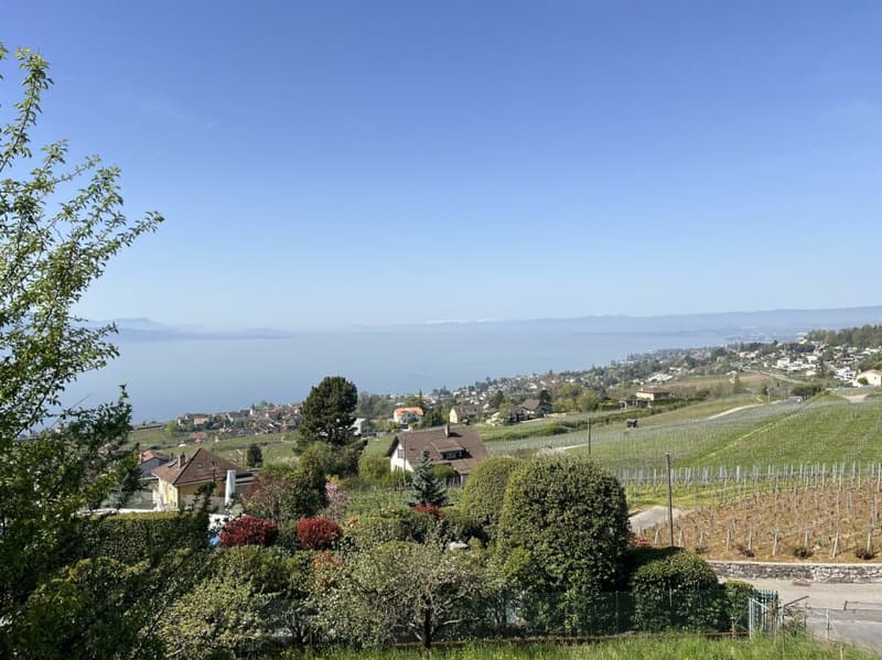 Coup de coeur entre lac et vignobles, en toute intimité (3)