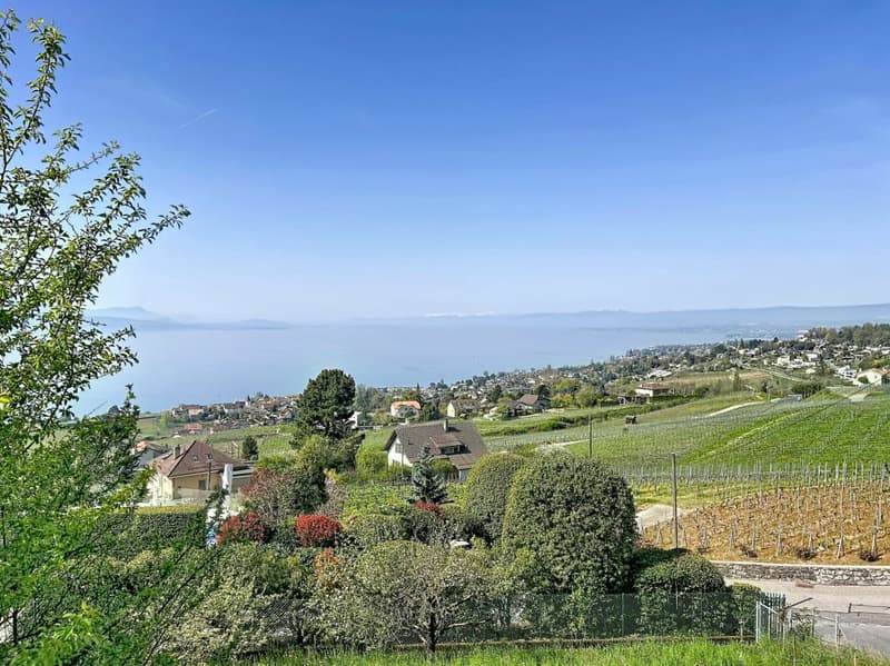 Coup de coeur entre lac et vignobles, en toute intimité (14)