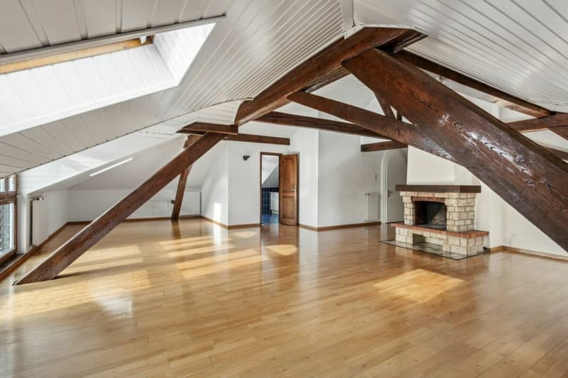 En quête d'un spacieux appartement à deux pas du centre-ville ? (8)