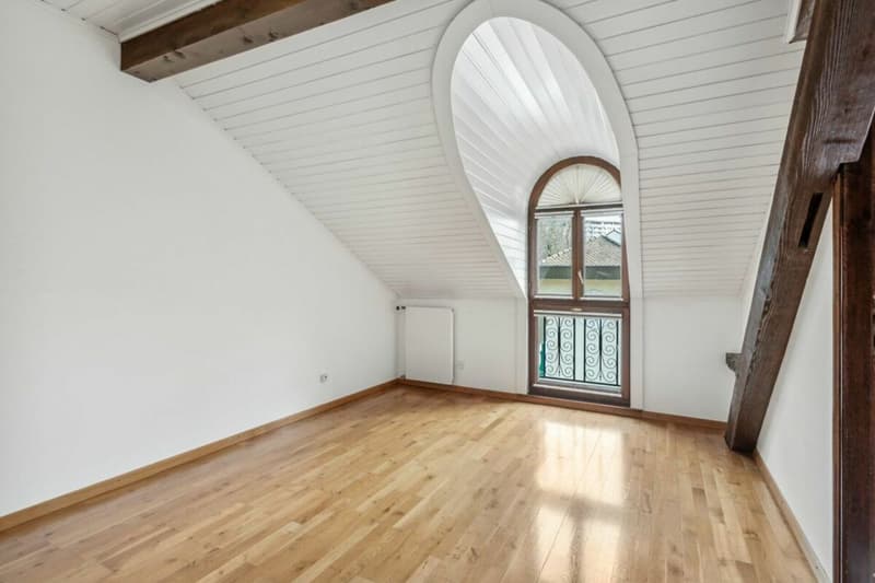 En quête d'un spacieux appartement à deux pas du centre-ville ? (9)